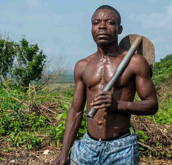 enhance growth with digital tools