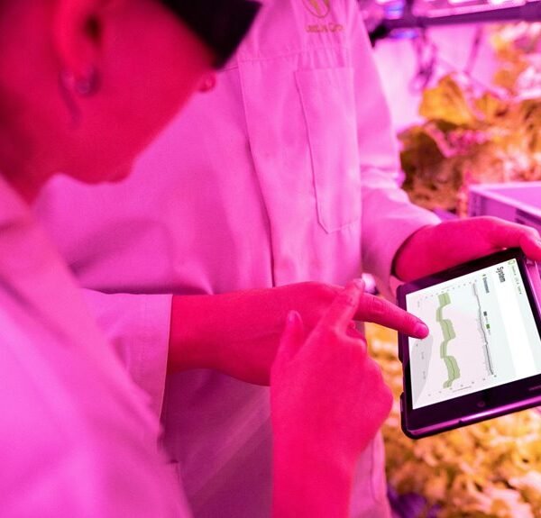 Strengthen Your Growth 910885706 Digital Tools